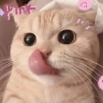 Fernando Torres avatar